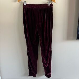 Shiela Rose Velvet Jogger Pant — Size Small, Burgundy